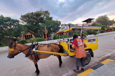 Gili Trawangan: 2-Hour Private Snorkeling Tour with GoPro