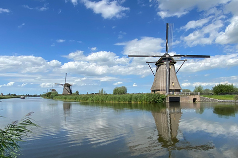 Från Amsterdam: Se Kinderdijk, Euromast, Delft och Den Haag