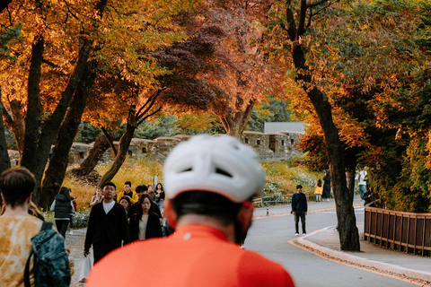 Seúl: Recorrido en Bicicleta por la Naturaleza Urbana del Río HanExcursión matinal en bicicleta