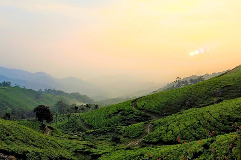 Sri Lanka : Circuit de 6 jours à Kandy, Nuwara Eliya, Bentota et Colombo