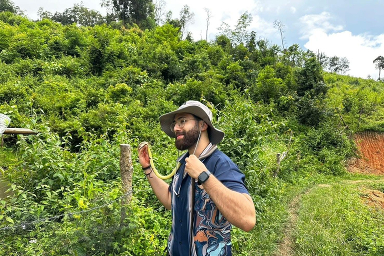 Chiang Mai : Promenade guidée d&#039;une journée dans la zone naturelle de Doi InthanonChiang Mai : Marche guidée d&#039;une journée dans la zone naturelle de Doi Inthanon