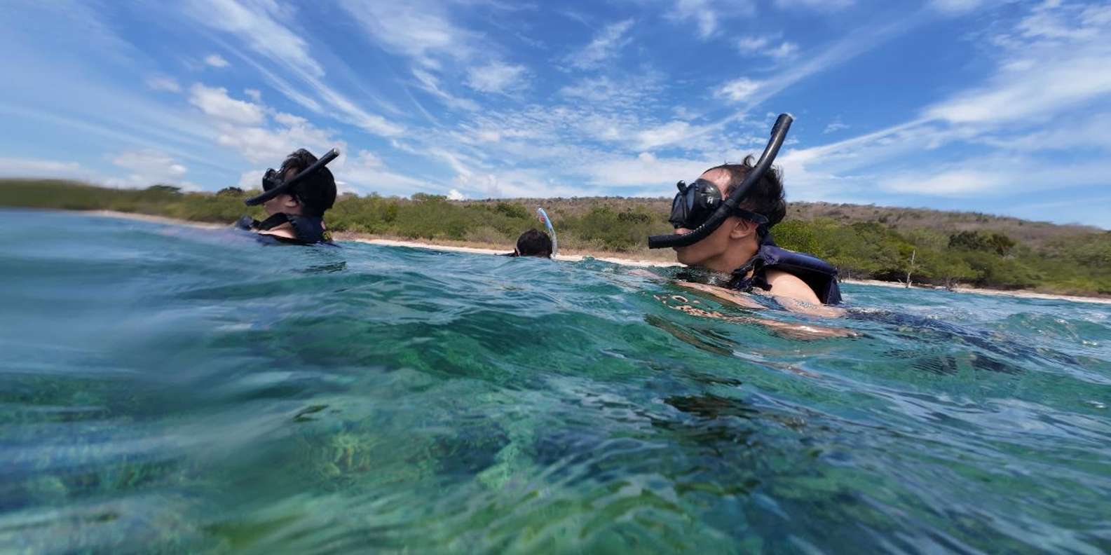 Banyuwangi: Tabuhan & Menjangan Island Snorkeling Tour
