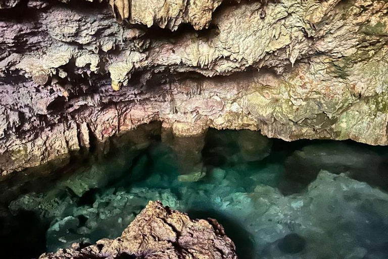 桑给巴尔：蒙滕德秘境海滩、库扎洞穴与乔扎尼森林之旅私人观光（含酒店接载服务和入场费）