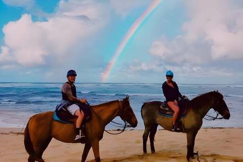 MONTRAGE À DOS DE CHEVAL PUERTO PLATA baie de taino et crique d'ambre