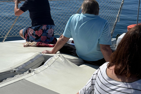 Estepona: Dolphins Searching Sea Cruise with Drink & Snacks Group Cruise