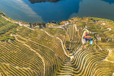 Desde Oporto: valle Duero, crucero, cata de vino y almuerzoTour privado en inglés, portugués, francés, alemán, español