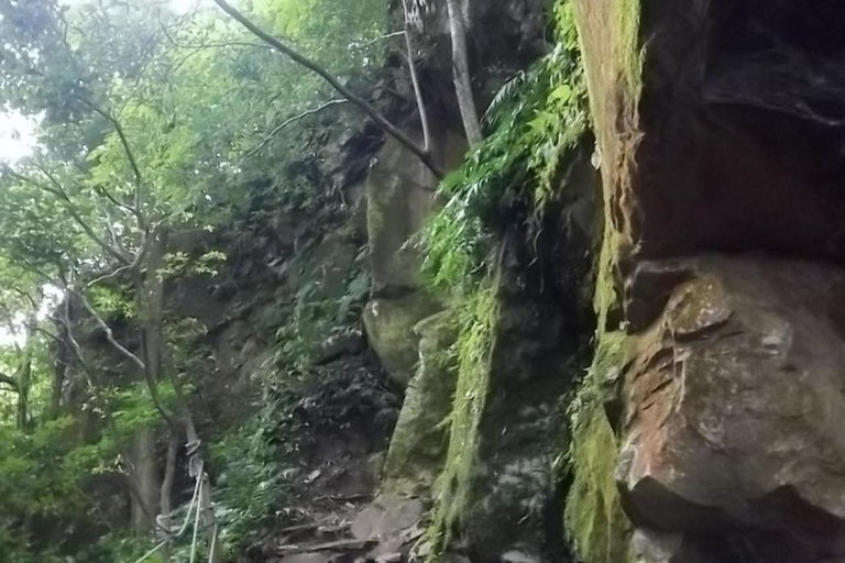 Papagayo Gulf: Guanacaste Vulkan- och djungeltur