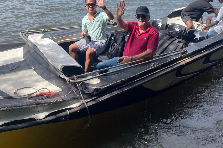 Galle Fort, Sea Turtles & Jungle Beach Private Day Tour