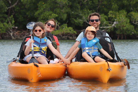 From Naples, FL: Marco Island Mangroves Kayak or Paddle Tour Easy Ride Pedal Kayak Tour