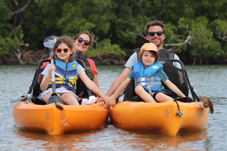 From Naples, FL: Marco Island Mangroves Kayak or Paddle Tour Easy Ride Pedal Kayak Tour