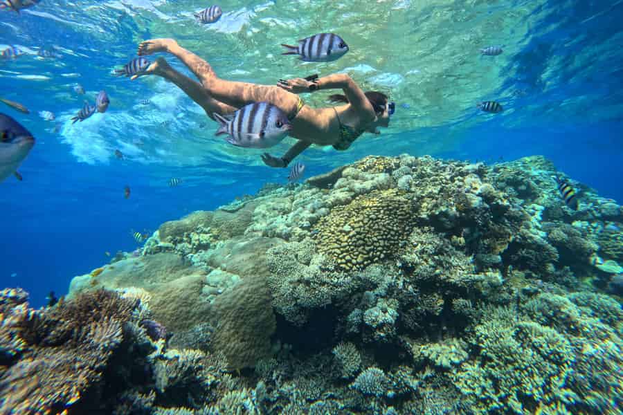 Hurghada: Orange Bay Or Hula Hula + Tauchen, Frühstück, Seafood Mittagessen. Foto: GetYourGuide