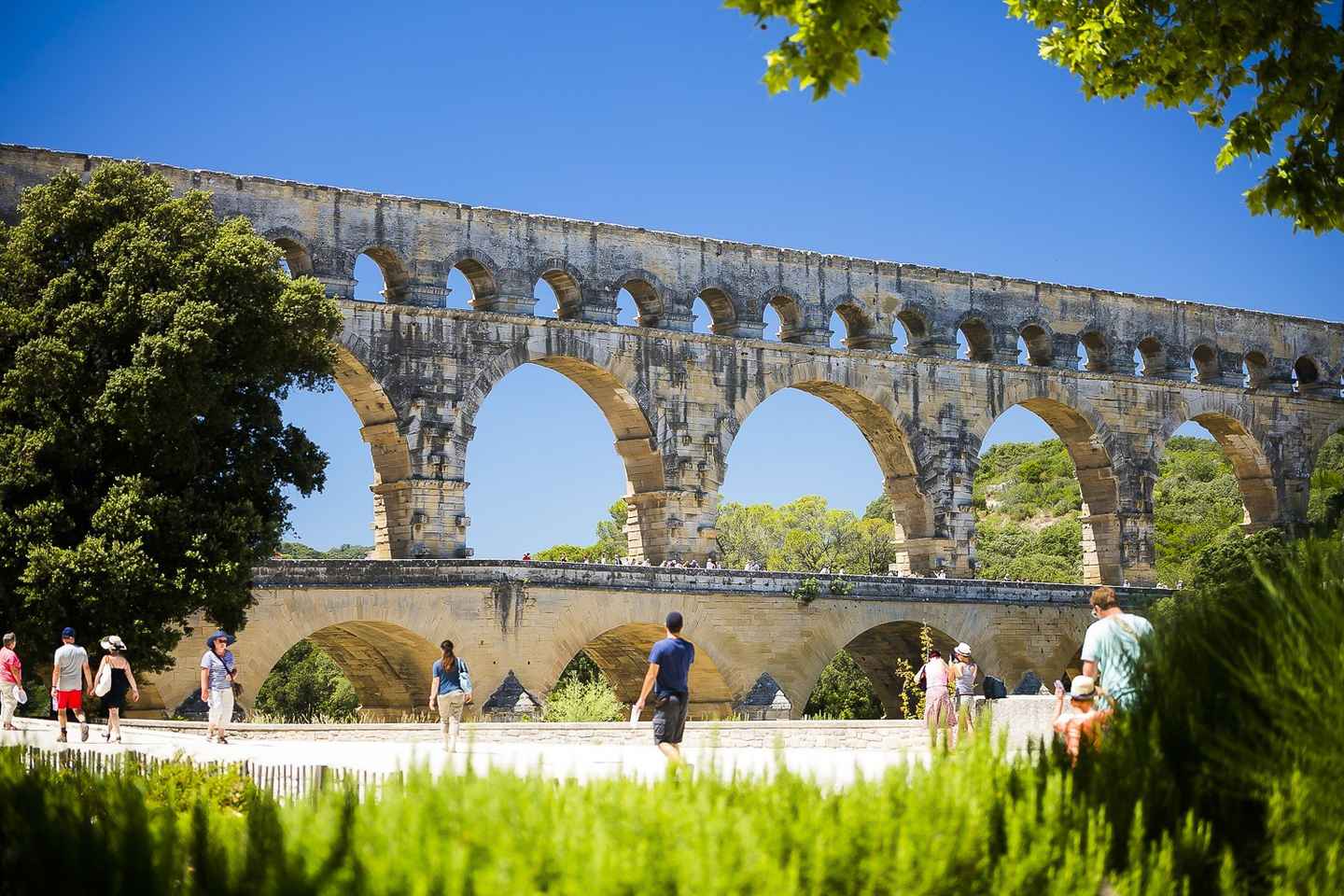 Da Avignone: Tour di un Giorno in Provenza