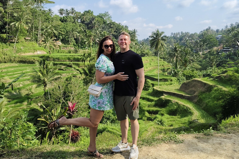 乌布猴林、梯田、秋千、寺庙和瀑布乌布猴林、水稻梯田、秋千、寺庙和瀑布