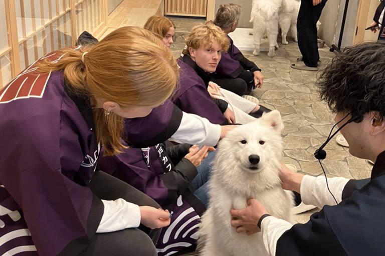 原宿：融合传统与流行文化的家庭之旅原宿：适合全家人体验的传统与流行文化的融合