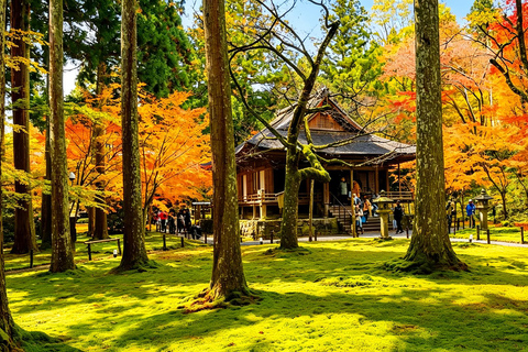 Kyoto: Arashiyama, Sanzen-in & Kifune Shrine Day Trip Departure from Osaka (Basic Package)