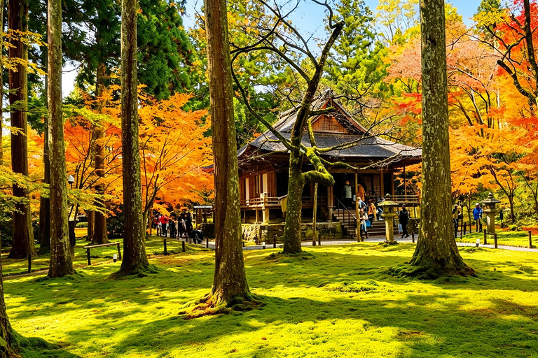 Kyoto: Arashiyama, Sanzen-in & Kifune Shrine Day Trip Departure from Osaka (Basic Package)