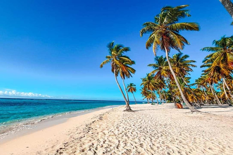 From Punta Cana: Saona Island Tour with BBQ Lunch