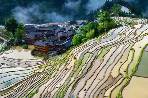 From Guiyang: 5-Day Guizhou Nature and Culture Tour