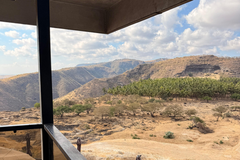 Salalah Local Life Tour: Camels, Coast & Natural Wonders