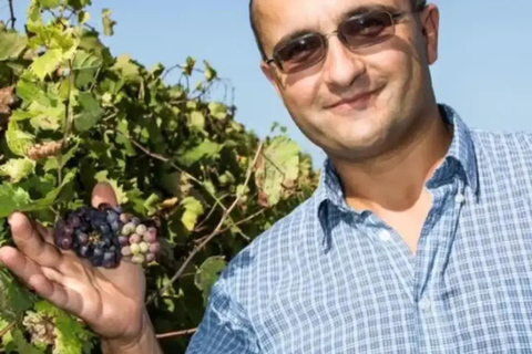 Gozo: Family Winery Estate Tour with Wine Tasting Gozo: Family Estate Tour with Wine Tasting