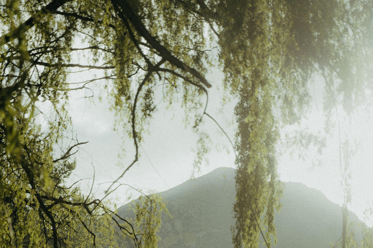 Queenstown: Riverside Sauna and Cold Plunge Experience