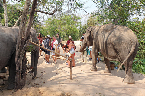 Bosque de Elefantes de Kulen y Lago Tonle Sap en tour privado