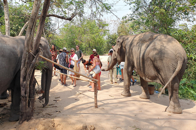 Forêt d&#039;éléphants de Kulen et lac Tonle Sap en visite privée