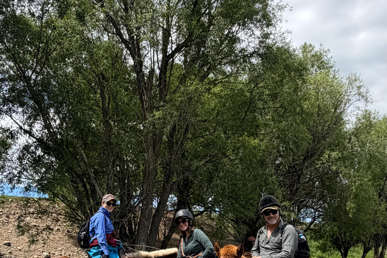 3 days horse trek tour in Terelj national park