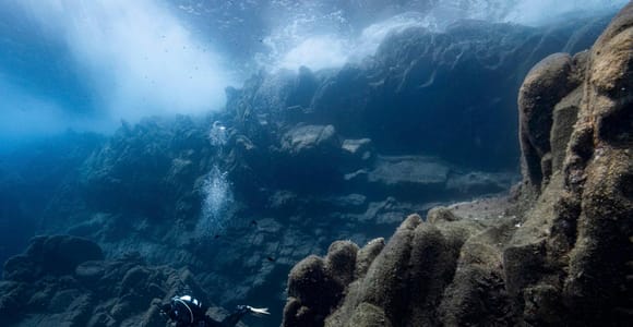 La Maddalena Archipelago & Lavezzi: Adventure Dives trip