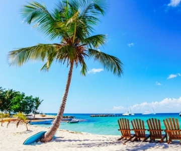 Punta Cana: Barco Catamarã para a Ilha Saona com almoço buffet