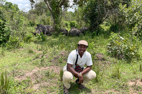 3-Day Ugandan tour with Murchison Falls, Rhinos & Chimpanzee