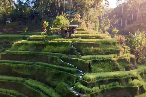 Ubud: Private Hidden Waterfalls and Rice Terrace TourPrivate Tour without Entry Tickets