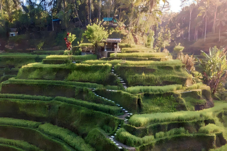 Ubud : Visite privée des cascades cachées et des rizières en terrassesVisite privée sans billet d&#039;entrée