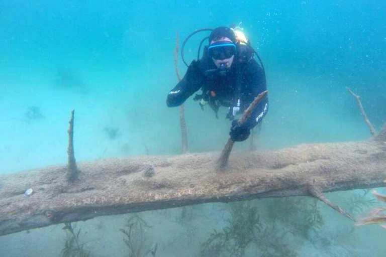 Bariloche: Diving baptism in Moreno Lake