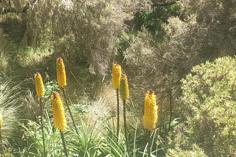 Simien Mountains: 3-Day Trek with Guide and Meals
