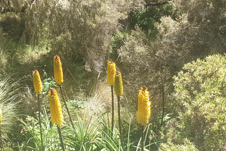 Simien Mountains: 3-Day Trek with Guide and Meals