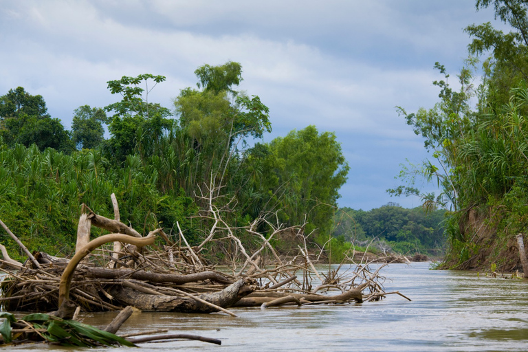 Tour Manu Amazonas 3 Días