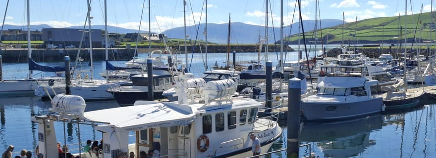 Dingle : Circuit écologique sur l'île de Blasket avec observation de la faune et de la flore