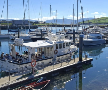 Dingle: Økotur på Blasket Island med dyrelivsobservasjon