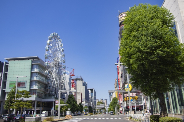 Nagoya: Private Customizable Shopping Tour with Guide Nagoya: 4Hour Private Customizable Shopping Tour with Guide