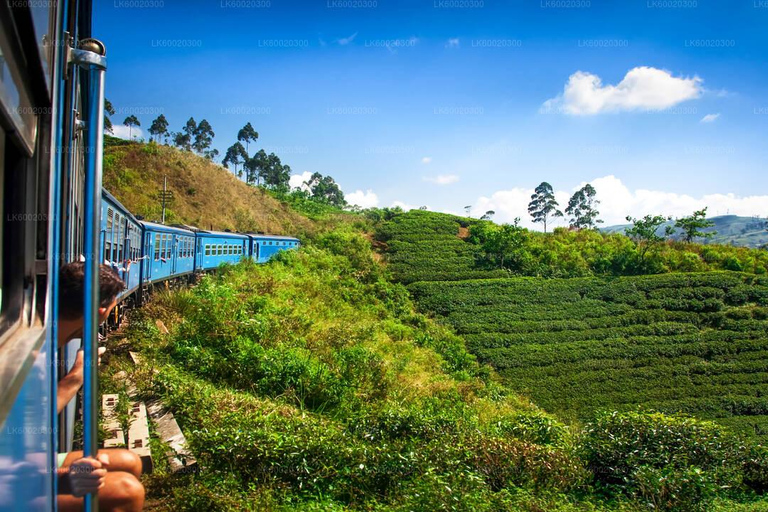 Sri Lanka: 15-daagse rondreis met vakantietijd