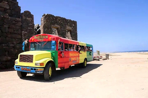 Aruba: Half Island Guided Bus Tour with Iconic Landmarks
