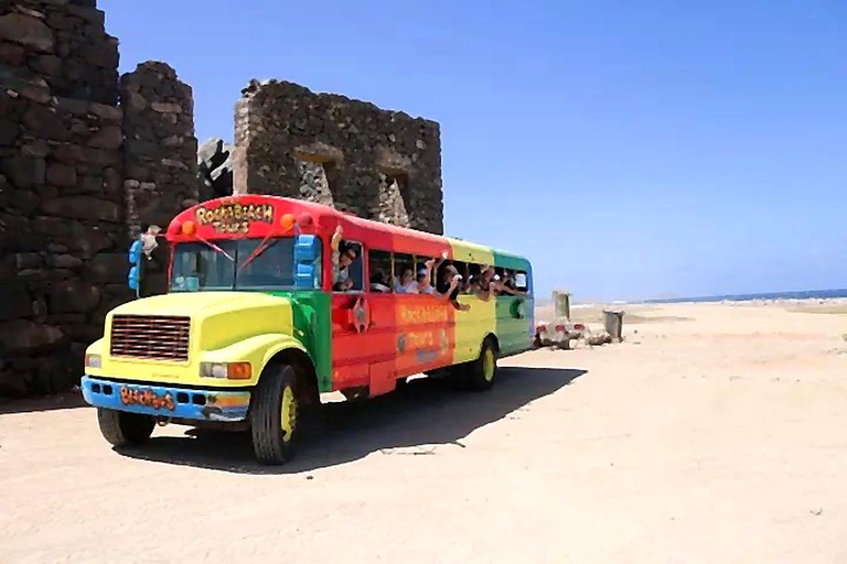 Aruba: Half Island Guided Bus Tour with Iconic Landmarks