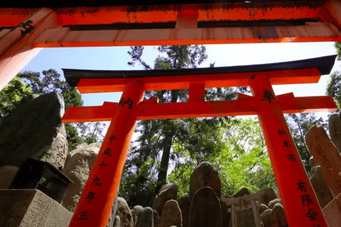 From Osaka/Kyoto: Kyoto Full-Day Sightseeing Private Tour