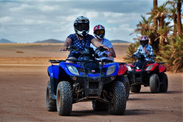 Visit From Marrakech Palm Grove Quad Bike Tour with Mint Tea in Marrakesh