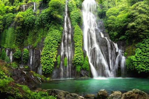 Bali: tour privato del nord di Bali con pranzo e cascataBali: tour privato del nord con pranzo e cascata