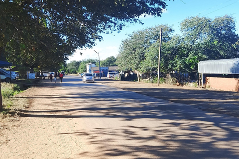 Victoria Falls: Walking Tour with Curio Market Visit