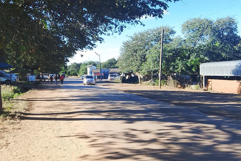 Victoria Falls: Walking Tour with Curio Market Visit