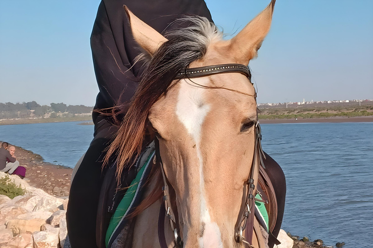 Agadir: Private Souss River Horse Ride with Hotel Pickup