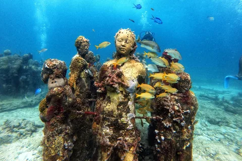 Cancún: Museo Subacuático Musa y Arrecife Descubre el Buceo